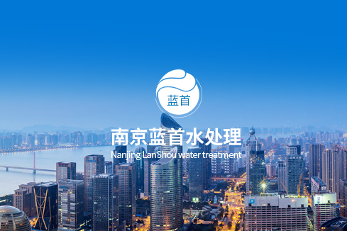 港口建站-南京蓝首水处理设备有限公司