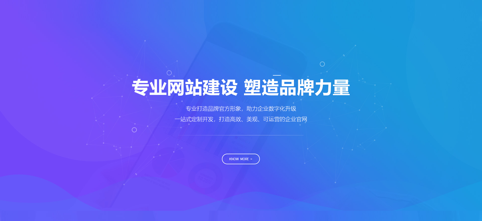 防城港建站-专业网站建设 塑造品牌力量