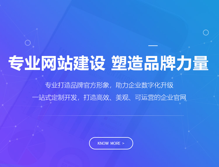 防城港建站-专业网站建设 塑造品牌力量